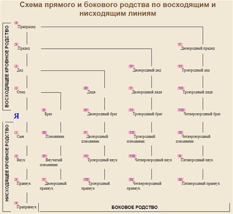 Родственные связи и распространение фамилии